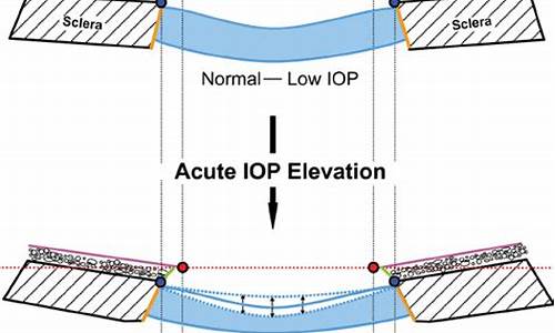 biomechanics_Biomechanics and 