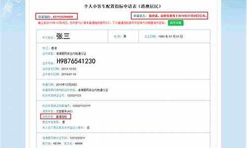 汽车摇号申请结果查询不到_为什么我的摇号结果不更新