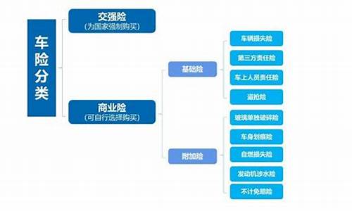 机动车险_机动车险怎么买